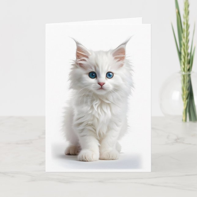 Carte blanche Fluffy Blanc Long-Haired Cat Blue Ey (Devant)