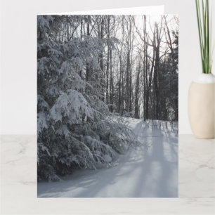 Carte blanche Froid Tôt Hiver Matin