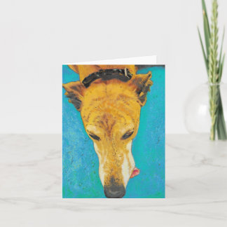 Carte blanche Greyhound ETS
