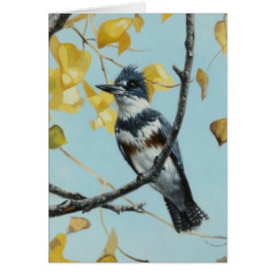 Carte blanche Kingfisher par Andrew Denman