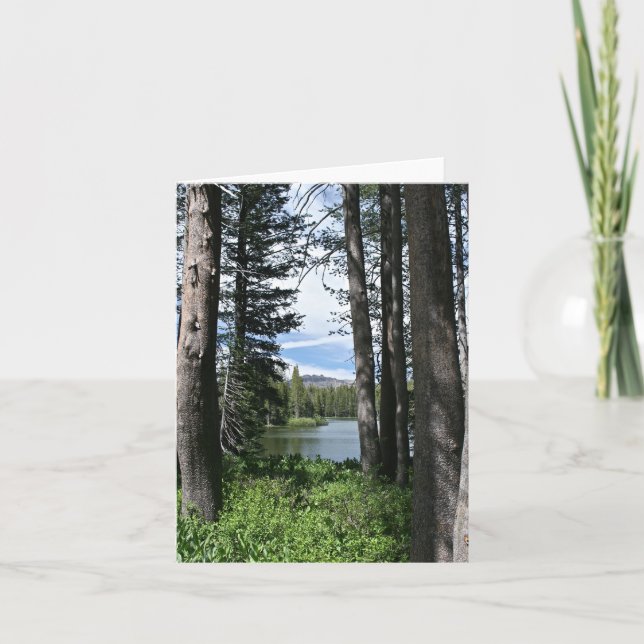 Carte blanche, Mountain Lake, Forêt (Devant)