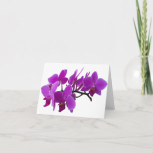 Carte blanche Orchidées violettes