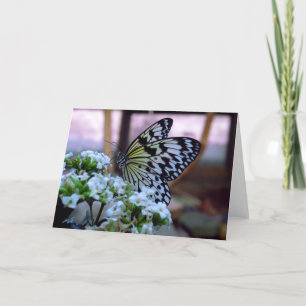 Carte blanche Papillon