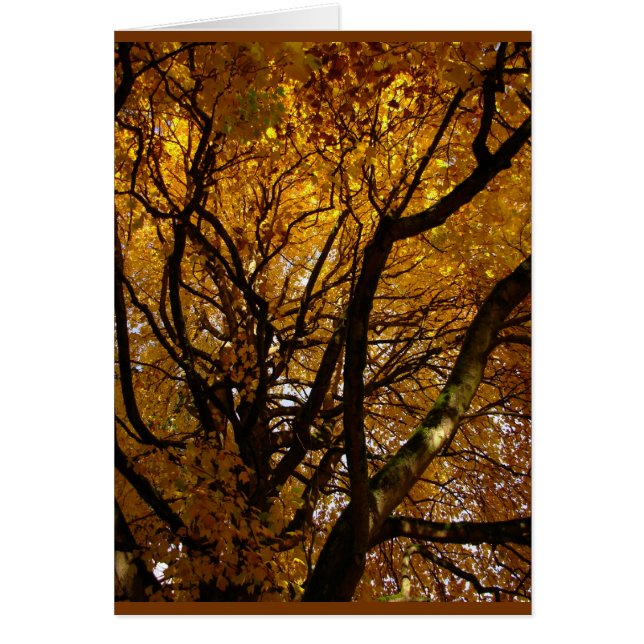 Carte blanche paysage d'automne Belles cartes à im (Devant)