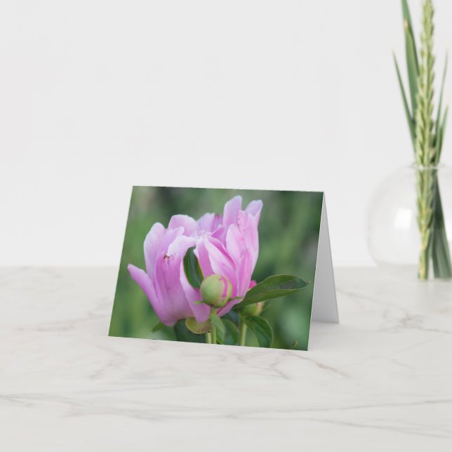Carte blanche Peony (Devant)