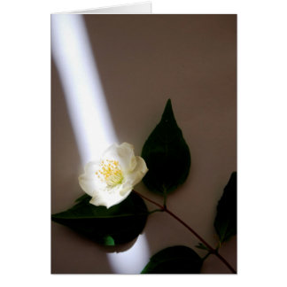 Carte blanche personnalisable