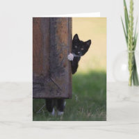 Carte blanche pour chat - sympathie, merci, annive