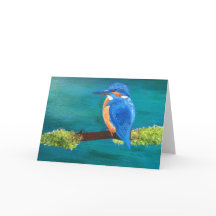 Carte blanche pour Kingfisher