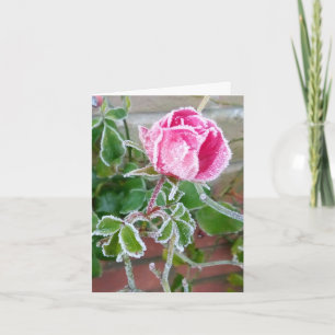 Carte blanche Rose givrée