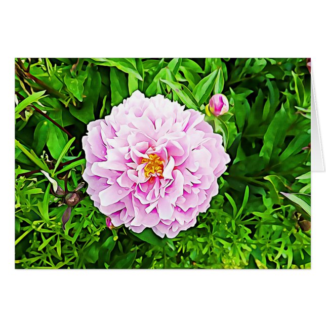 Carte blanche rose Peony (Devant horizontal)