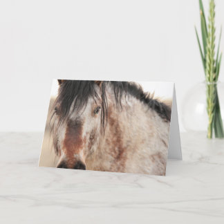 Carte blanche Sir Behr