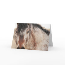 Carte blanche Sir Behr