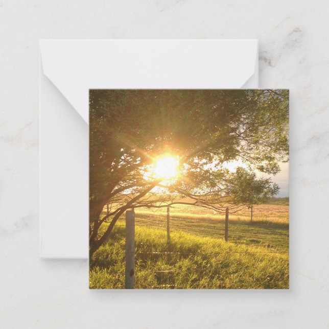 Carte blanche Sunlight du soir (Devant)