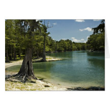 Carte blanche Suwannee River Beach