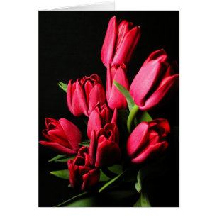 Carte blanche Tulipes rouges