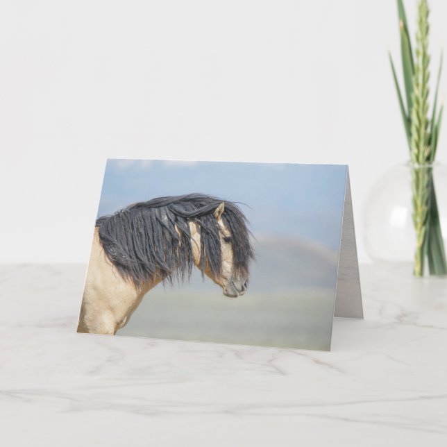 Carte blanche Wicahpi Hinhpaya (Fallen Star) (Devant)