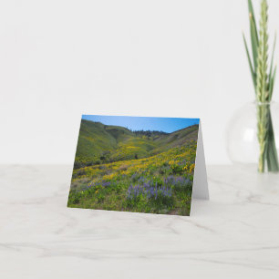 Carte Blancs de printemps de Balsam et Lupine