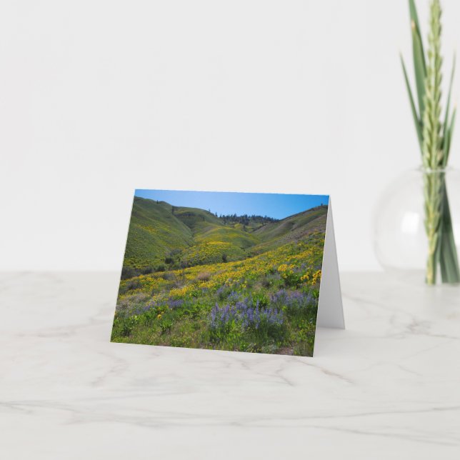 Carte Blancs de printemps de Balsam et Lupine (Devant)