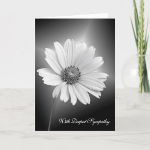 Carte Blancs marguerite en Sympathie sur Noir