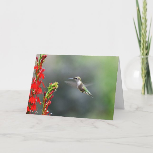 Carte Blank greeting card to brighten someone (Devant)
