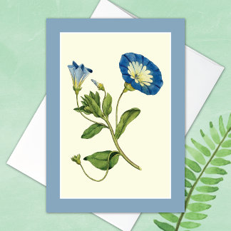Carte Bleu brillant Matin Glory Vine Blank