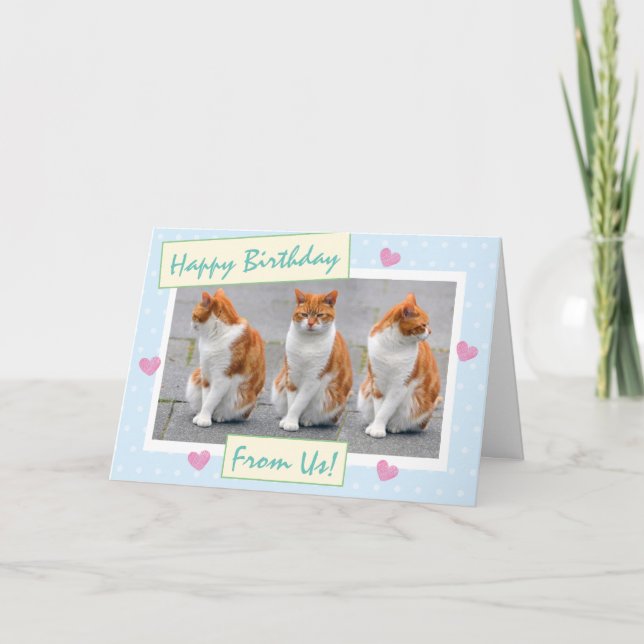 Carte Bleu Ciel Drôle Des Chats Photo Joyeux Anniversair (Devant)