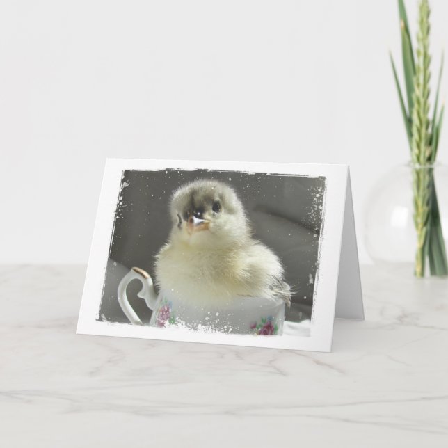 Carte Bleu Cochin Chick dans une Teup (Devant)