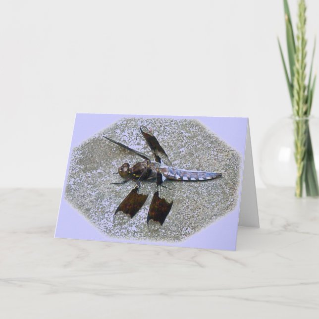 Carte Bleu Dragonfly (Devant)