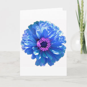 Carte Bleu marguerite bleu photo florale