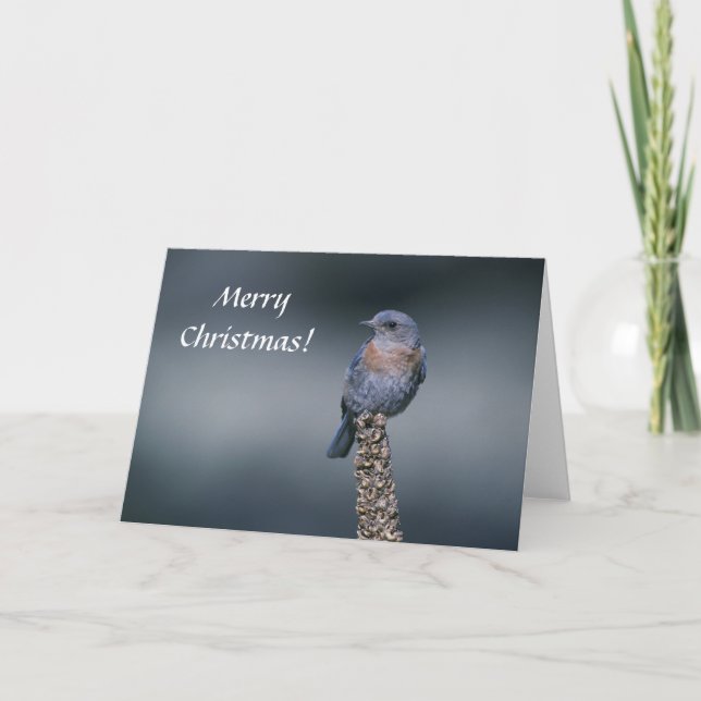 Carte / Bleu Occidental / Joyeux Noël! (Devant)