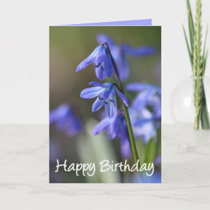Carte Bleu Scilla siberica (Squill en Bois) Fleurs