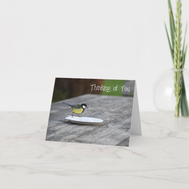 Carte Bleu Tit Oiseau Nourrir Pensée de vous (Devant)