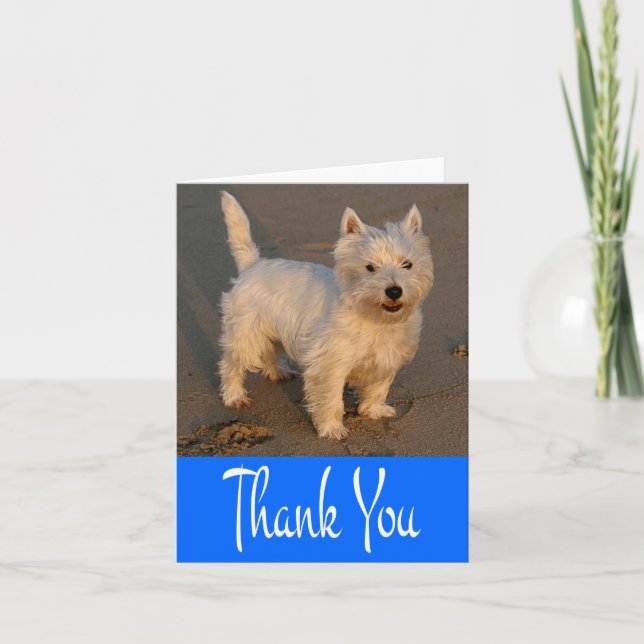 Carte bleue blanche de Chien pourpre de West Highl (Devant)