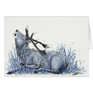 Carte bleue de mâle