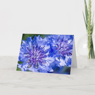 Carte Bleuet bleu