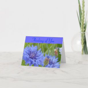 Carte Bleus de bleuet