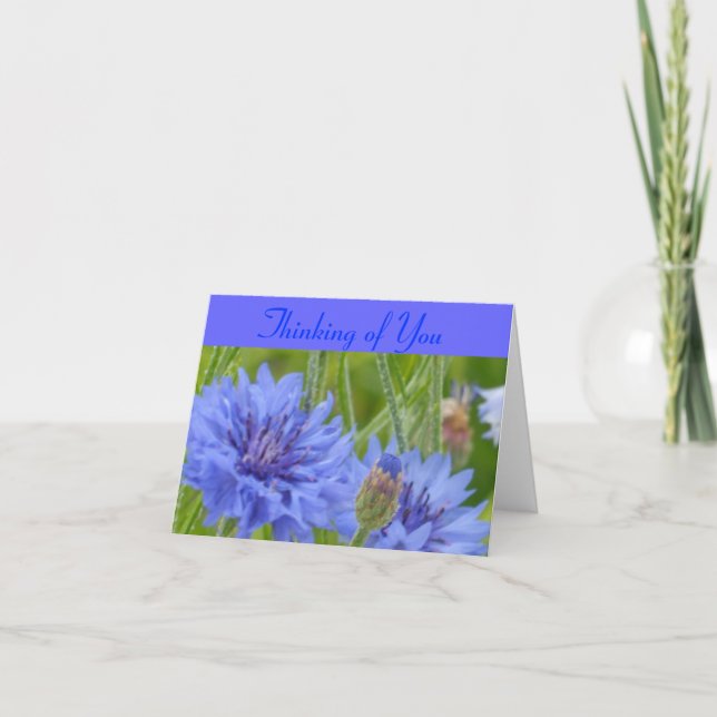 Carte Bleus de bleuet (Devant)