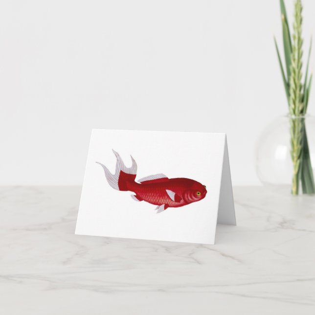 Carte Bloch Goldfish (Devant)