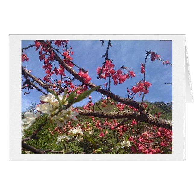 Carte Blossom (Devant Horizontal)