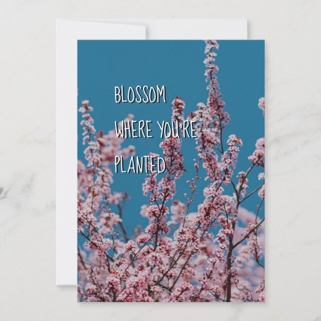 Carte BLOSSOM OÙ PLANTÉ | Encouragement chrétien (Devant)