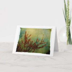 Carte Blossoms, Allez-Y Bientôt