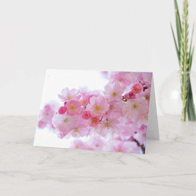 Carte Blossoms de Pastel Pink (Devant)