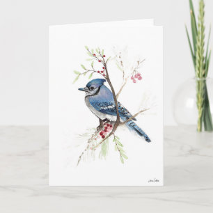 Carte Blue Jay Bird Art