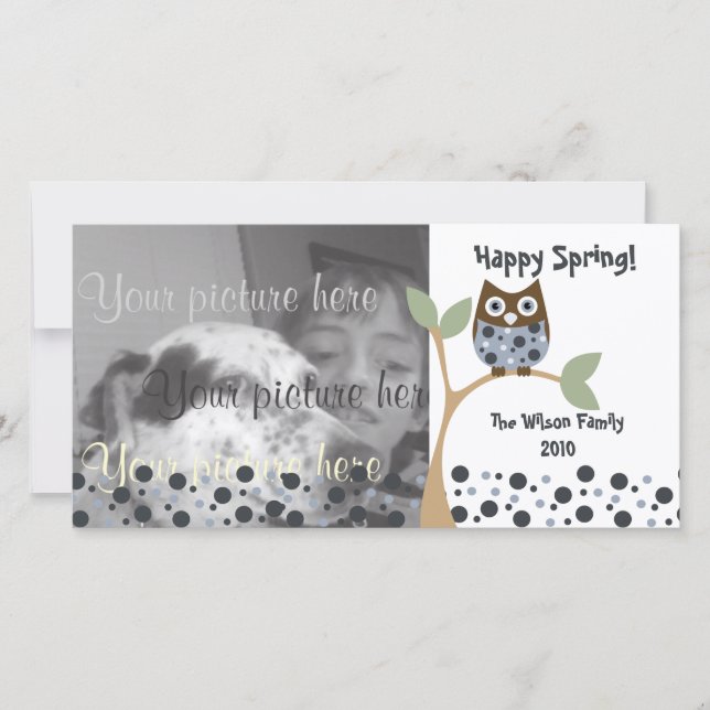 Carte Blue Owl Baby (Devant)