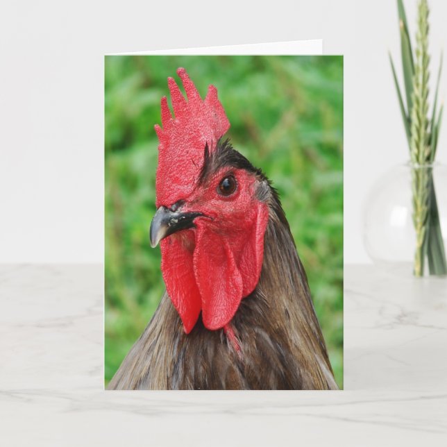 Carte Blue Rooster (Devant)