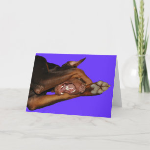 Carte bluebaron