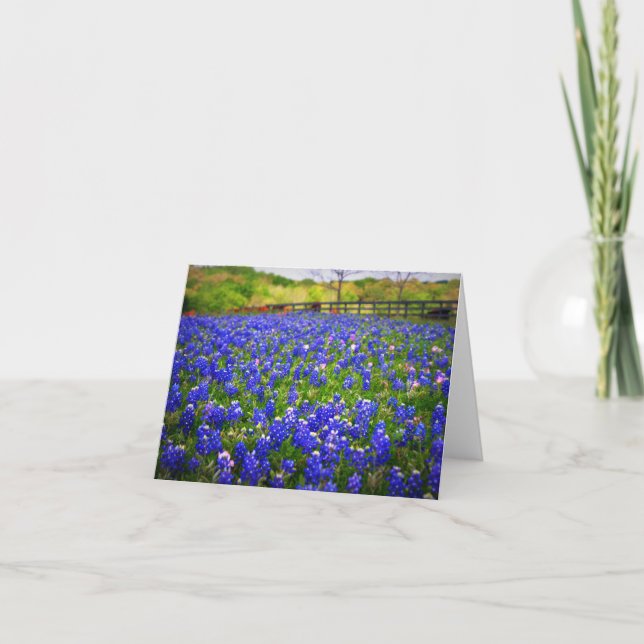 Carte Bluebonnets de Texas (Devant)