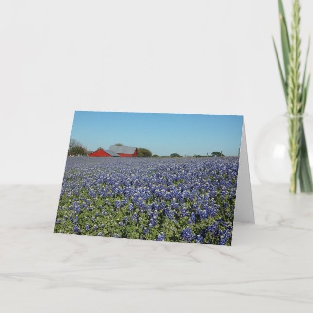 Carte Bluebonnets et Grange (Devant)