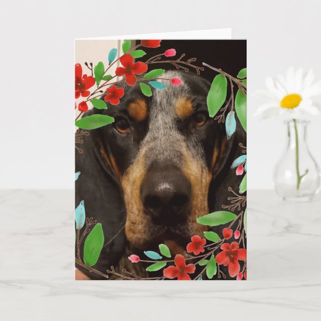 Carte Bluetick Coonhound Dog/ Photo pour animaux de comp (Petite plante)