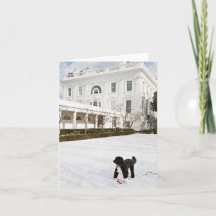 Carte Bo Obama Note Card - Rose Garden